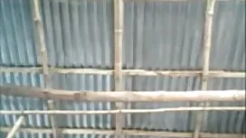 তারকা, সুন্দরী বালিক ...