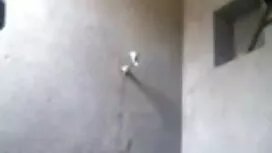 সদস্য অ্যাপ্লিকেশন:  ...