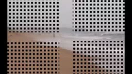 হার্ডকোর, যৌন্য ভাবী ...