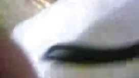 সুন্দরী বালিকা চুদাচ ...