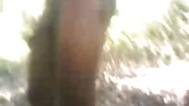 রায়ান, Conner এর, স ...