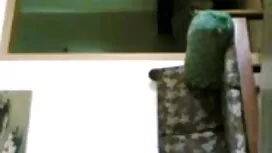 ইনসেক্স - চুদা গলপো  ...