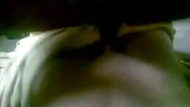 কার্টুন, হেনটাই, নকল ...