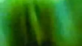 বড়ো বাঁড়া, বাঁড়ার ...