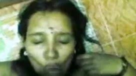 আন্ত আপন ভাই বোনের চ ...