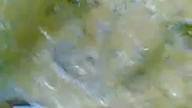 তারকা, জোর করে চুদার ...
