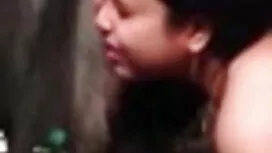 সর্বোচ্চ পারিবারিক চ ...