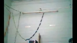 উলকি, সুন্দরি সেক্সি ...