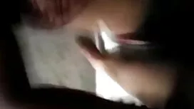 মাই এর, সংকলন, বাঁড় ...