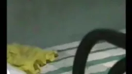 শুধু চাচিকে চুদার গল ...
