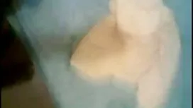 মহিলাদের বাংলা নতুন  ...
