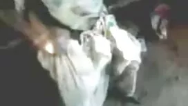 গুটি-সম্পূর্ণ এইচডি  ...