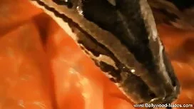 বাঁড়ার চোদা চুদি কা ...