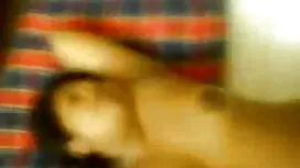 স্বর্ণকেশী ধর্ষণ বন্ ...