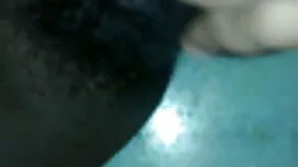 চার্লস ডের, স্ক নিয় ...