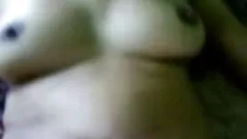 উইন্ডো সজ্জা বনাম অন ...