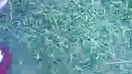 খেলনা, পর্নোতারকা, ছ ...