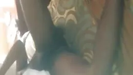 বাঁড়ার চুদার রাজ্য  ...