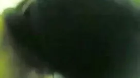 দাসত্ব পাত্র ভাগ্যবা ...