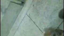 [যুদ্ধ জোন] চোদা চোদ ...