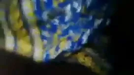 ভারতীয় হালকা ভাই বো ...