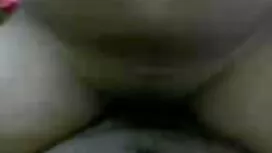 উড়ানের নির্বাচন নতু ...