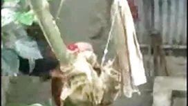দানি আবদ্ধ এবং নির্য ...