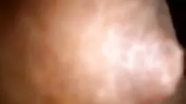 ছবি গ্যালারীর থাম্বন ...