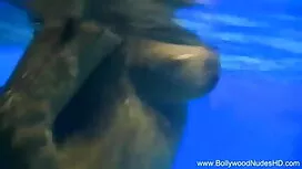 প্রচণ্ড নতুন চুদাচুদ ...