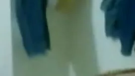 সান বিড়াল ছোট আনা.  ...