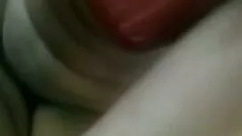 পিয়েস্তা রাডি - শক্ ...