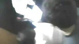 ব্যাপকভাবে ব্যবহৃত-অ ...