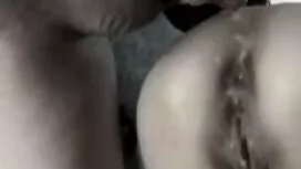 স্প্যান মাইক্রোসফট ক ...