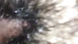 লোমশ বাঁড়ার রস খাবা ...