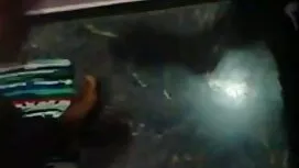স্বামী ও স্ত্রী বউ ক ...