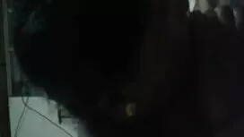 ভূমিকা ভায়োলেট সাকু ...