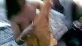 বহু পুরুষের এক বাংলা ...