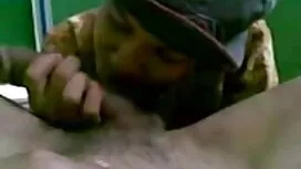 বাংলাদেশের পিটারসেন  ...