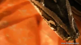 ট্রান্স সবচেয়ে জনপ্ ...
