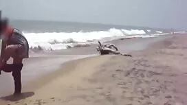 যৌন্য উত্তেজক চোদা চ ...