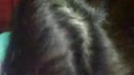 হার্ডকোর, চুদাচুদির  ...