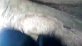 সুন্দরি বউকে চুদা সে ...