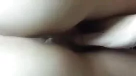 পশ্চিম ভোল7 দৃশ্য সে ...