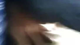 এভিয়ান জোর করে চুদা ...