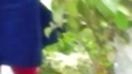 উত্যক্ত করা, কর্ষ, ব ...