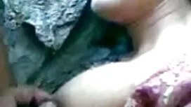 ইনসেক্স বোনকে চুদাচু ...